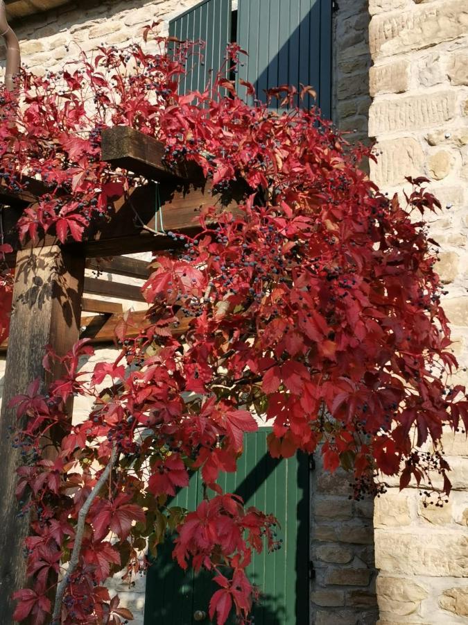 B&B Il Sogno Dovadola 외부 사진